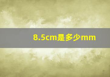 8.5cm是多少mm