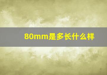 80mm是多长什么样