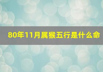 80年11月属猴五行是什么命