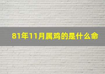 81年11月属鸡的是什么命