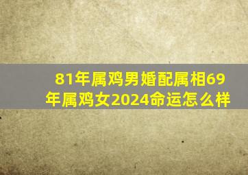 81年属鸡男婚配属相69年属鸡女2024命运怎么样