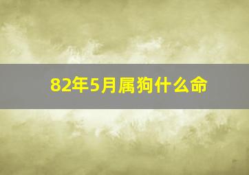 82年5月属狗什么命