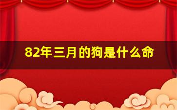 82年三月的狗是什么命