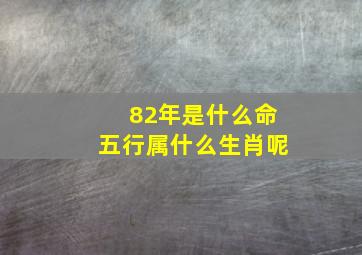 82年是什么命五行属什么生肖呢