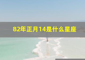 82年正月14是什么星座