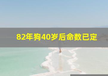 82年狗40岁后命数已定