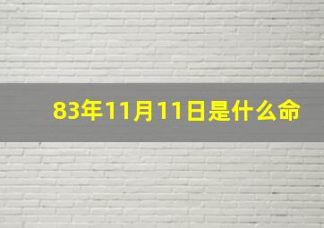 83年11月11日是什么命