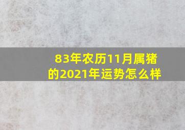 83年农历11月属猪的2021年运势怎么样