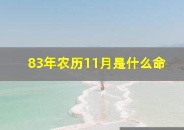 83年农历11月是什么命