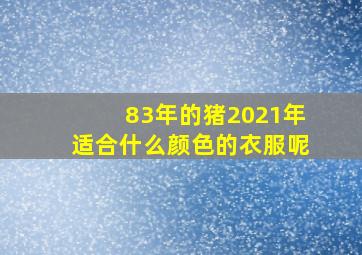 83年的猪2021年适合什么颜色的衣服呢