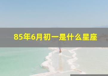 85年6月初一是什么星座