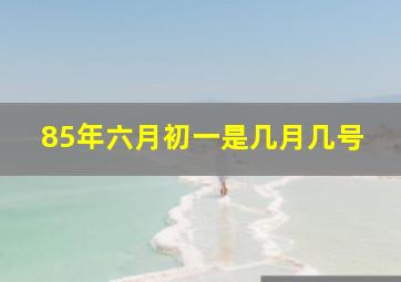 85年六月初一是几月几号