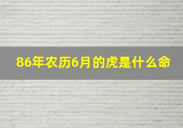 86年农历6月的虎是什么命