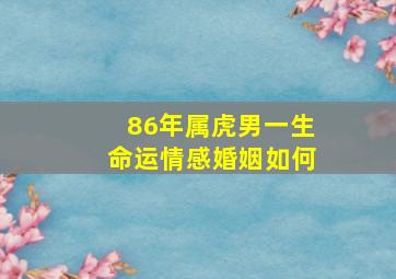 86年属虎男一生命运情感婚姻如何