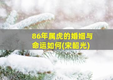 86年属虎的婚姻与命运如何(宋韶光)