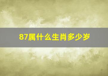 87属什么生肖多少岁