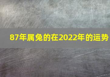 87年属兔的在2022年的运势