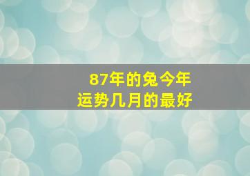 87年的兔今年运势几月的最好