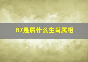 87是属什么生肖属相