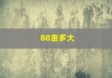 88亩多大