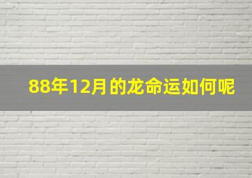 88年12月的龙命运如何呢