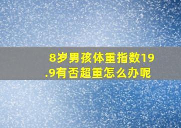 8岁男孩体重指数19.9有否超重怎么办呢