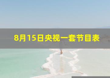 8月15日央视一套节目表