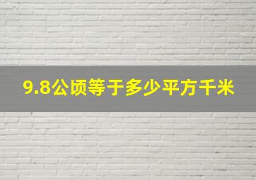 9.8公顷等于多少平方千米