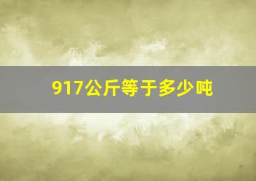 917公斤等于多少吨