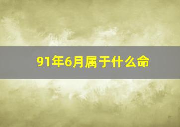 91年6月属于什么命