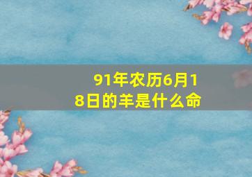 91年农历6月18日的羊是什么命