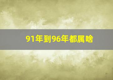 91年到96年都属啥