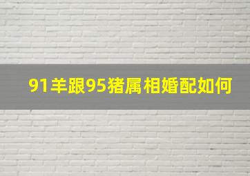 91羊跟95猪属相婚配如何