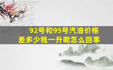 92号和95号汽油价格差多少钱一升呢怎么回事