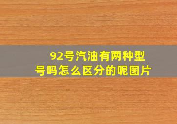 92号汽油有两种型号吗怎么区分的呢图片