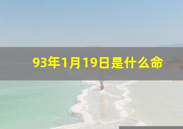 93年1月19日是什么命