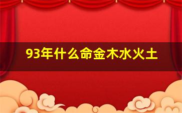 93年什么命金木水火土