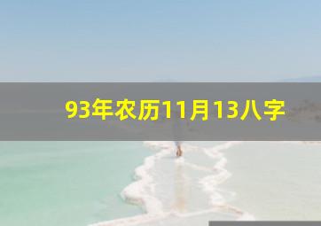 93年农历11月13八字