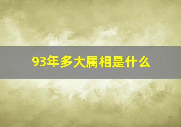 93年多大属相是什么