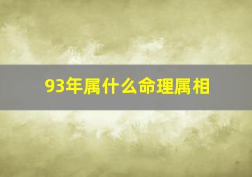 93年属什么命理属相