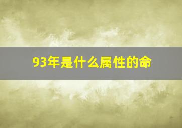 93年是什么属性的命