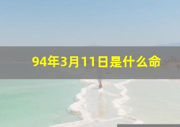 94年3月11日是什么命