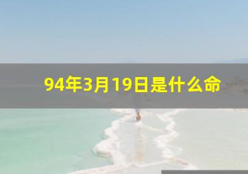 94年3月19日是什么命