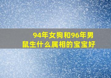 94年女狗和96年男鼠生什么属相的宝宝好