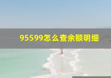 95599怎么查余额明细