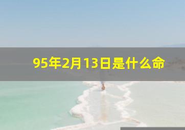 95年2月13日是什么命