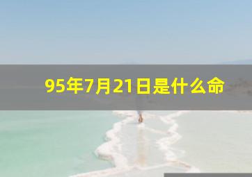 95年7月21日是什么命