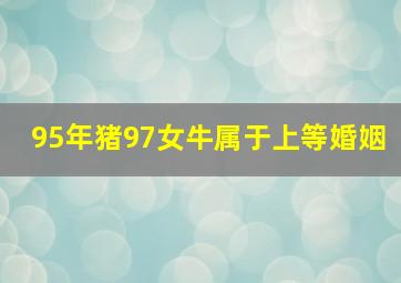 95年猪97女牛属于上等婚姻