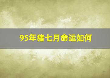 95年猪七月命运如何