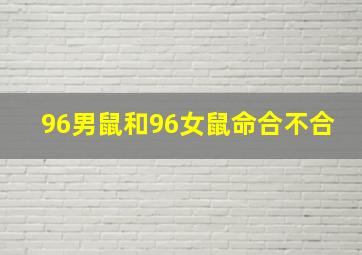 96男鼠和96女鼠命合不合